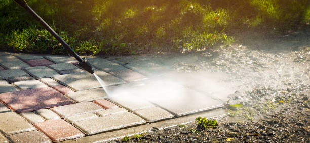 Best Pool Deck Cleaning  in Watertown, FL